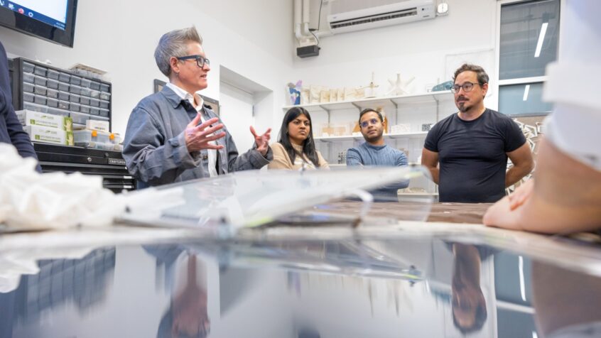 A professor explains a project to a postdoctoral researcher and two colleagues around a lab bench